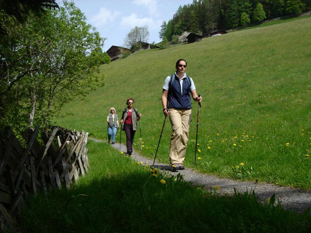 Hotel Gasthof Kroell - Inkl Nationalpark-Karte, 1 X Grossglockner Hochalpenstrasse Kostenlos, Verschiedene Bergbahnen Kostenlos, Badesee Kostenlos, Bus & Zug Kostenlos, Regionale Kueche 니에데른실 외부 사진
