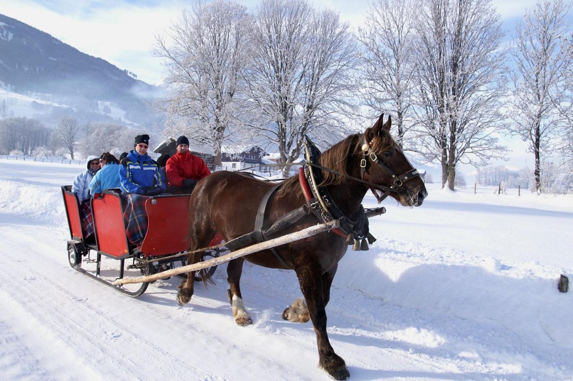 Hotel Gasthof Kroell - Inkl Nationalpark-Karte, 1 X Grossglockner Hochalpenstrasse Kostenlos, Verschiedene Bergbahnen Kostenlos, Badesee Kostenlos, Bus & Zug Kostenlos, Regionale Kueche 니에데른실 외부 사진